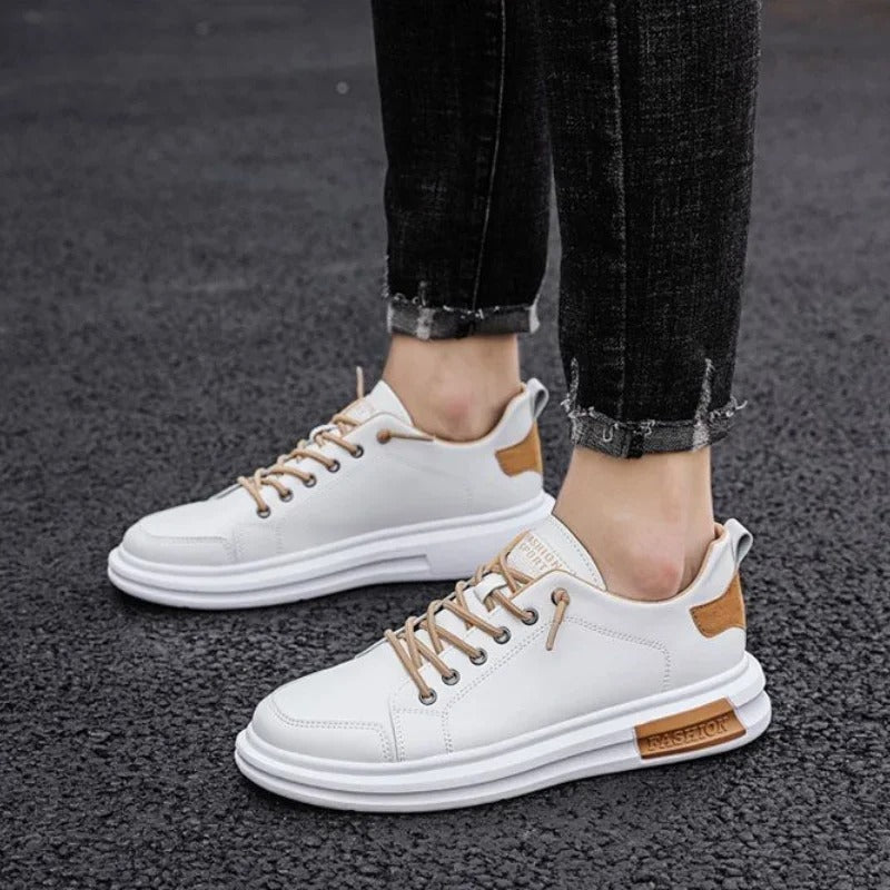 gid://shopify/MediaImage/24692163805278